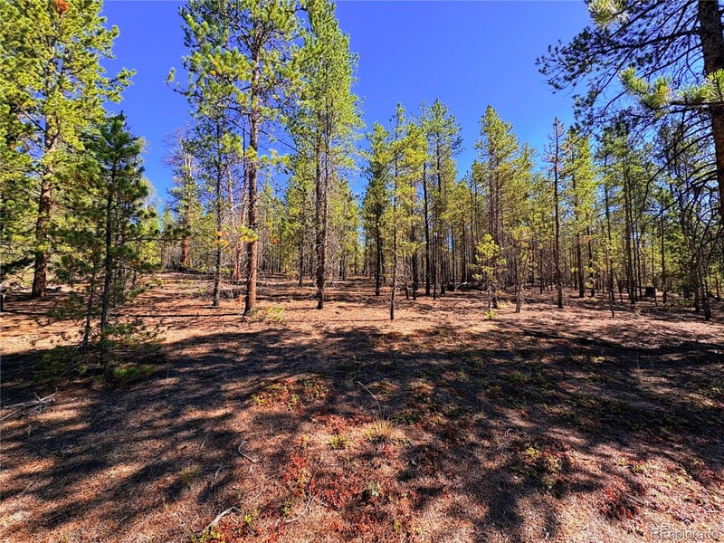 323 Aspen Dr Lot 272, Leadville, CO 80461