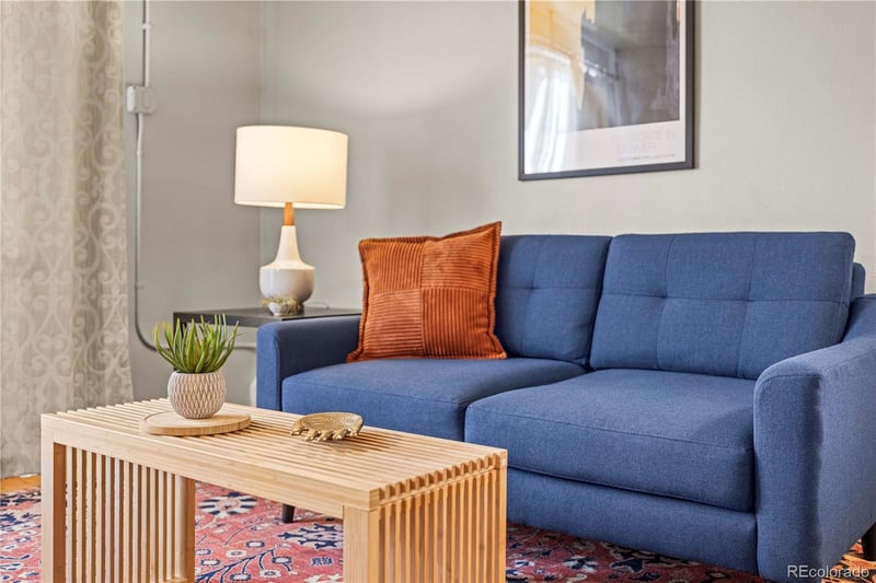 271 N Grant St #303, Denver, CO 80203