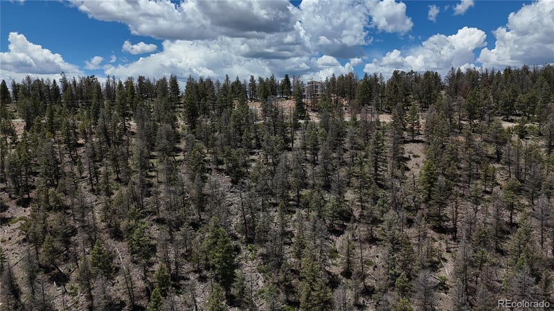 1348 Middle Fork Vi, Fairplay, CO 80440