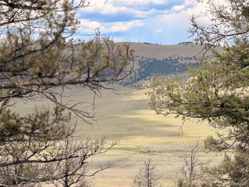 1348 Middle Fork Vi, Fairplay, CO 80440