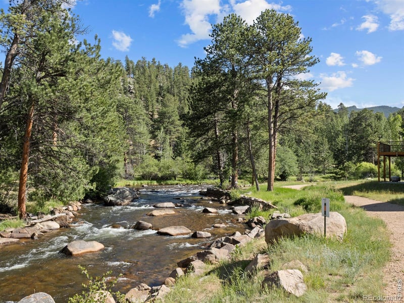 696 Moreau Ln, Estes Park, CO 80517