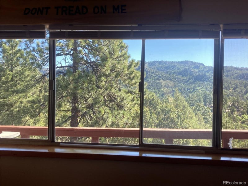 136 Burnt Timber Cir, Cotopaxi, CO 81223