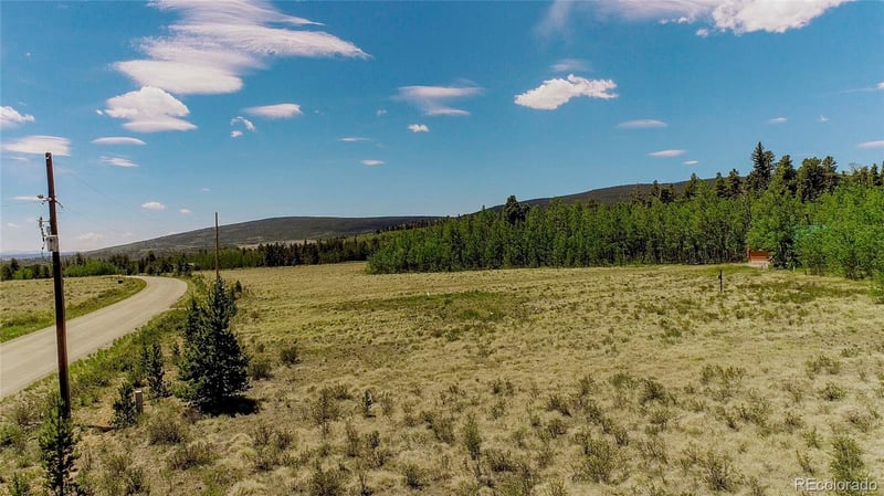 515 Wild Rye Rd Lot 130, Fairplay, CO 80440