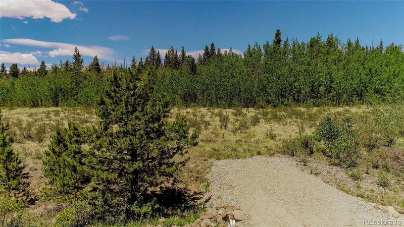 515 Wild Rye Rd Lot 130, Fairplay, CO 80440