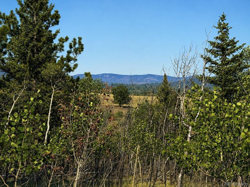 250 Pinto Trl, Como, CO 80432