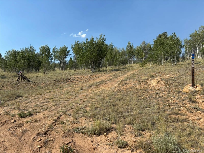 250 Pinto Trl, Como, CO 80432