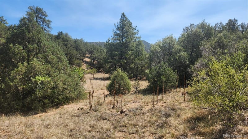 161 Ponderosa Ln, Cotopaxi, CO 81223