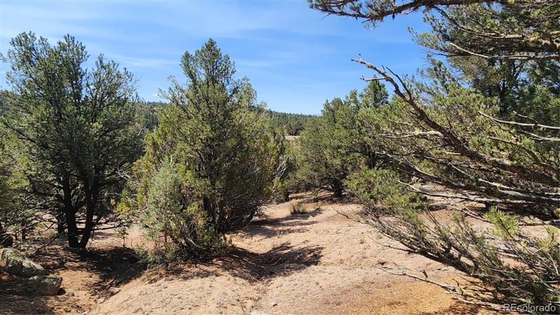 161 Ponderosa Ln, Cotopaxi, CO 81223