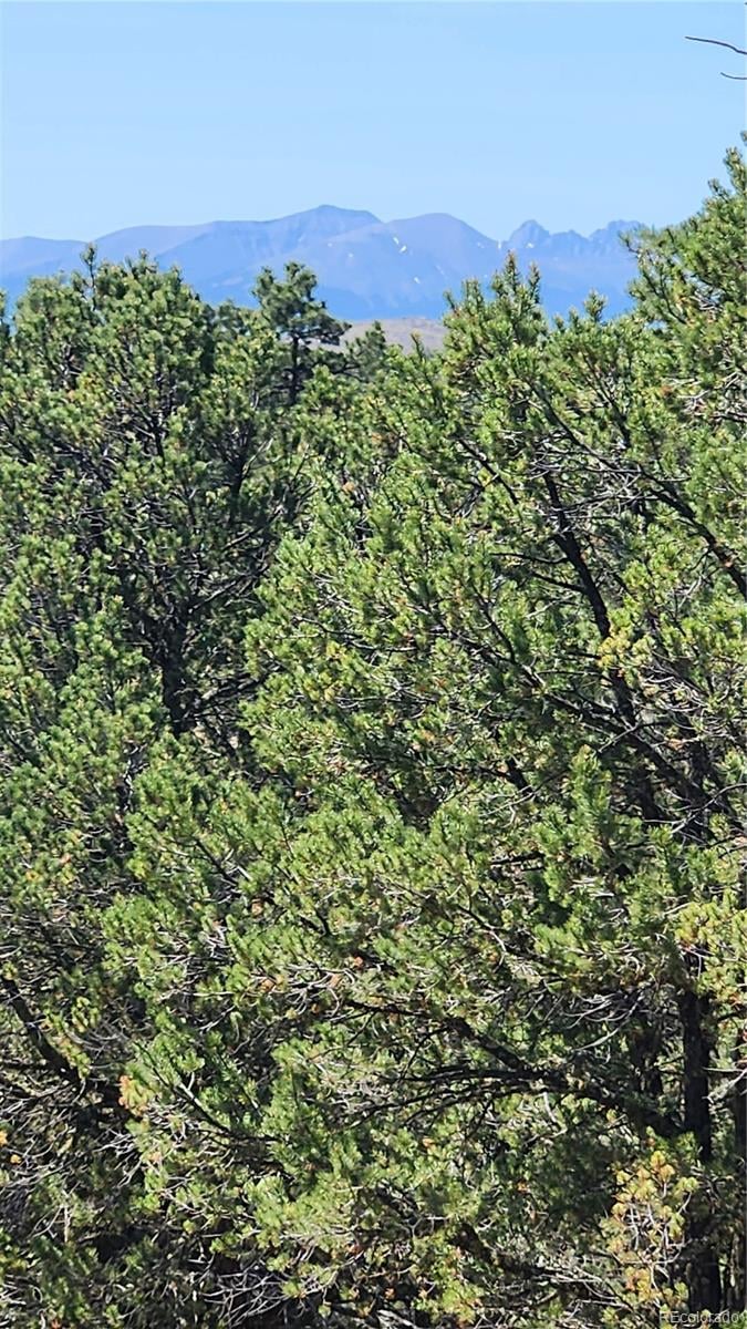 161 Ponderosa Ln, Cotopaxi, CO 81223