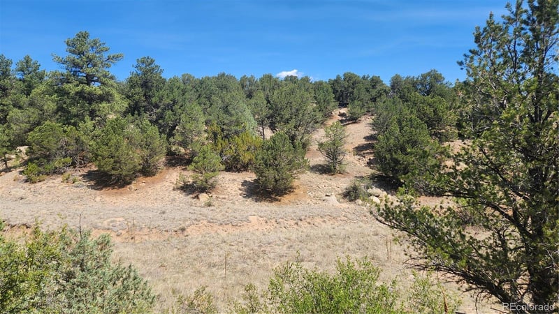 161 Ponderosa Ln, Cotopaxi, CO 81223