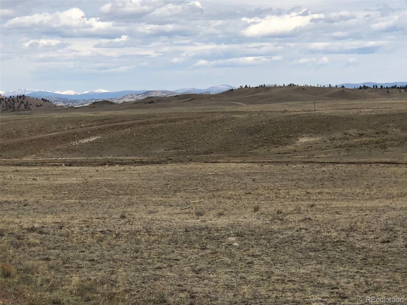000 Black Beaver Cir, Hartsel, CO 80449
