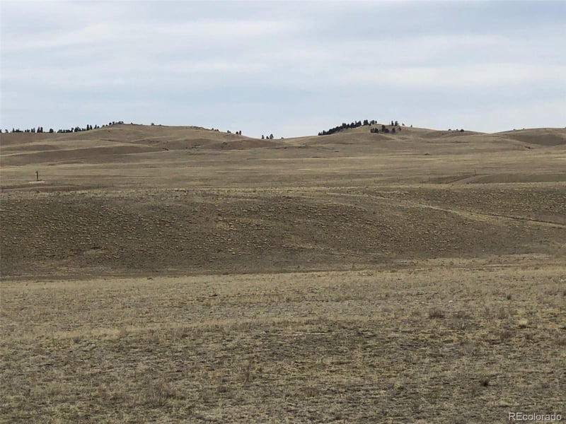 000 Black Beaver Cir, Hartsel, CO 80449