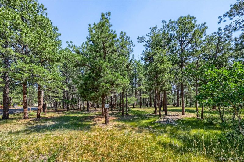 19420 Glencannon Way, Monument, CO 80132