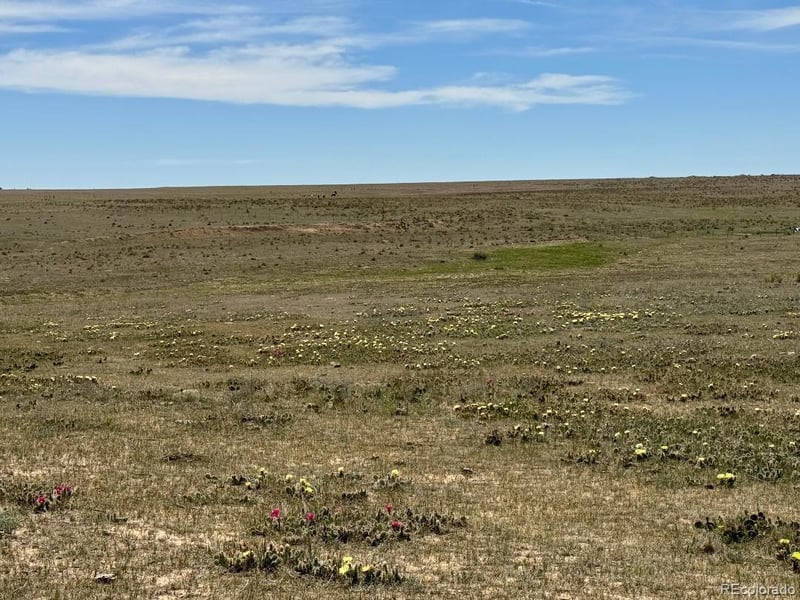 40495 Hoot Owl Rd, Ramah, CO 80832
