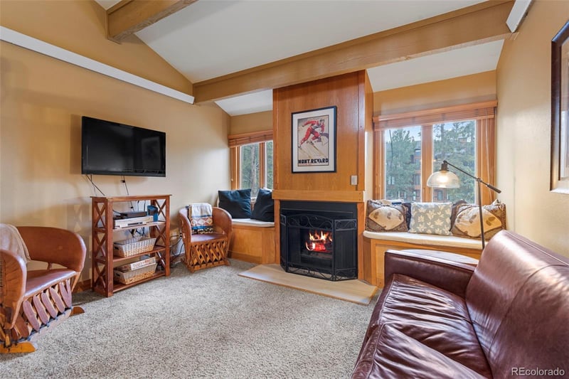 205 Primrose Pa #3, Breckenridge, CO 80424