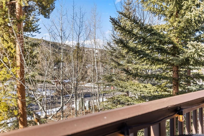 45 Trappers Crossing Trl #8754, Dillon, CO 80435