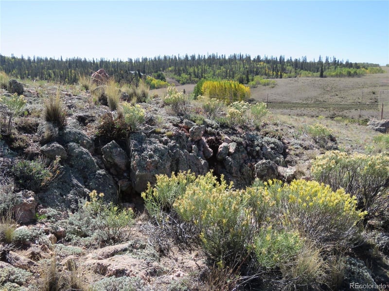 104 Hawk Way, Jefferson, CO 80456