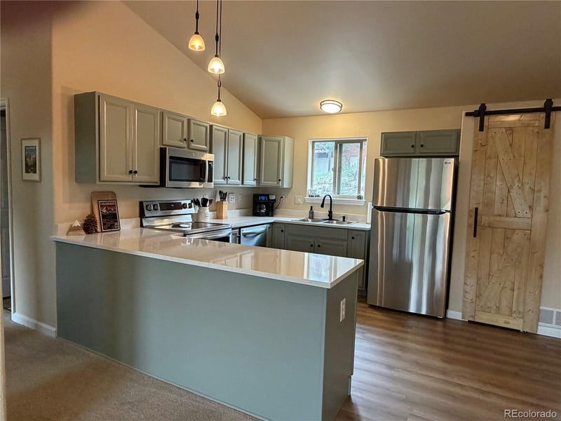 303 Virginia Rd #E, Bailey, CO 80421