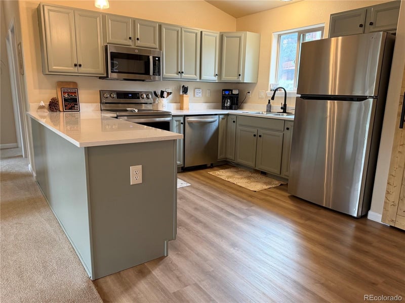 303 Virginia Rd #E, Bailey, CO 80421