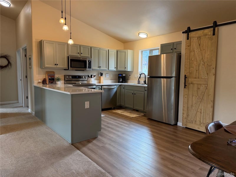 303 Virginia Rd #E, Bailey, CO 80421