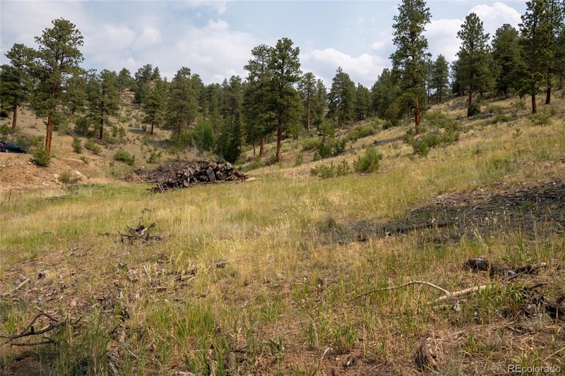 13990 Pine Valley Rd Lot 0023, Pine, CO 80470