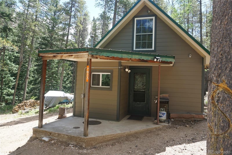7823 County Road 43, Bailey, CO 80421