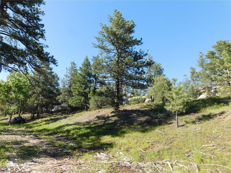 5884 Seminole Trl, Larkspur, CO 80118