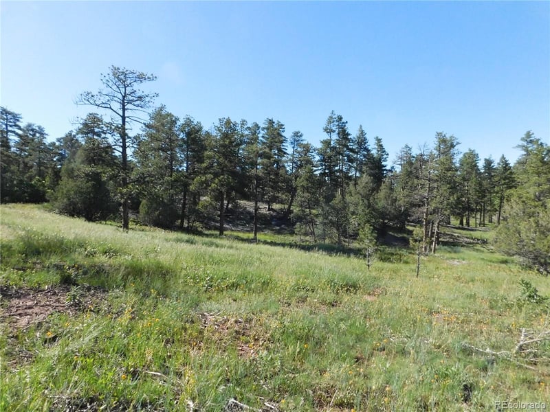 7514 Seminole Dr, Larkspur, CO 80118