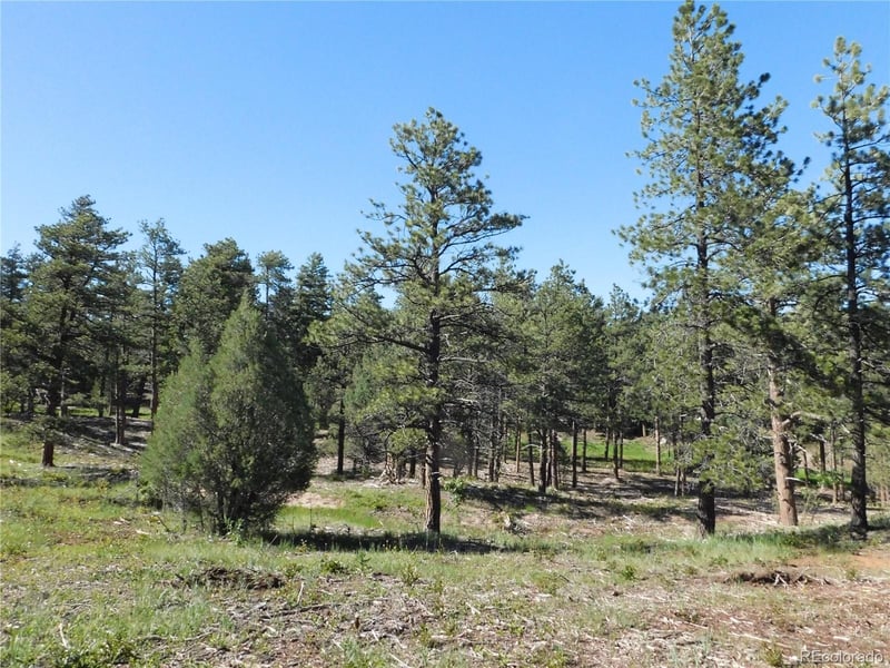 7514 Seminole Dr, Larkspur, CO 80118
