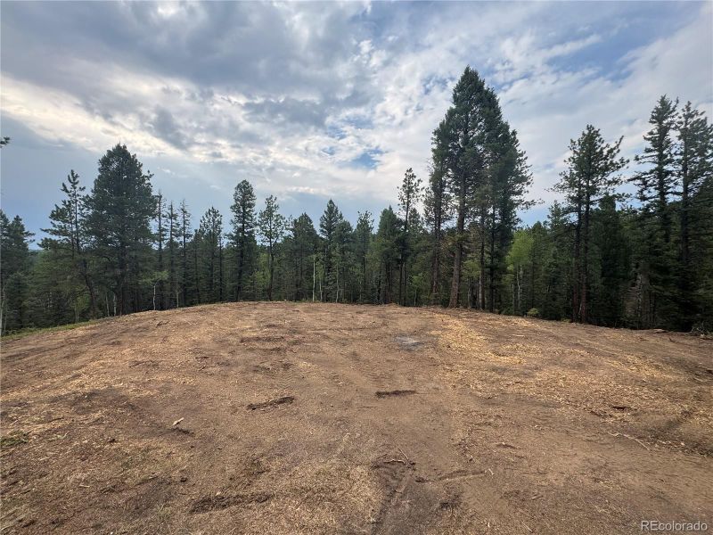 111 Elk Creek Dr, Divide, CO 80814