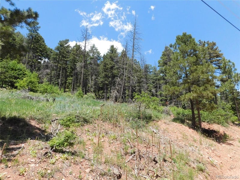 13524 Woodmoor West Dr, Larkspur, CO 80118