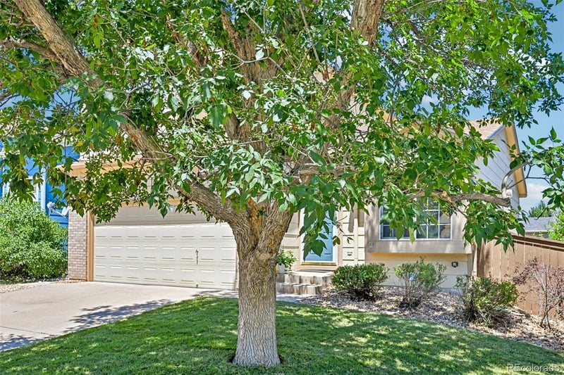 2531 Cove Creek Ct, Littleton, CO 80129