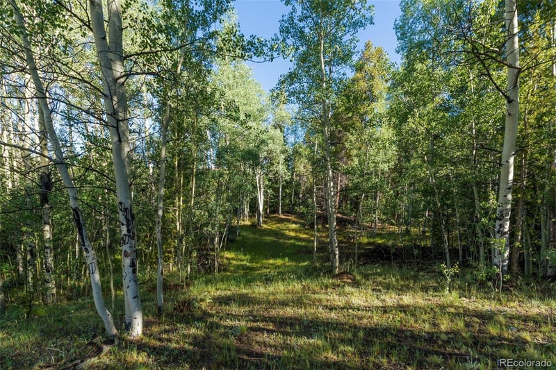 Lot 1 Snow Cap Peaks Rd, Alma, CO 80440