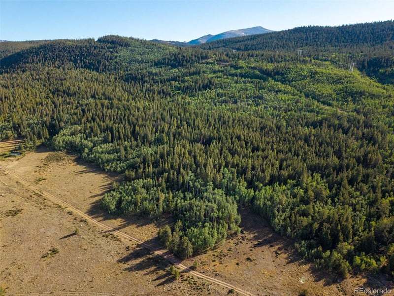 Lot 1 Snow Cap Peaks Rd, Alma, CO 80440