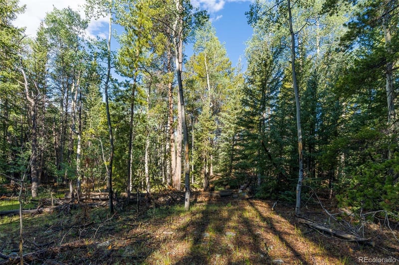 Lot 1 Snow Cap Peaks Rd, Alma, CO 80440