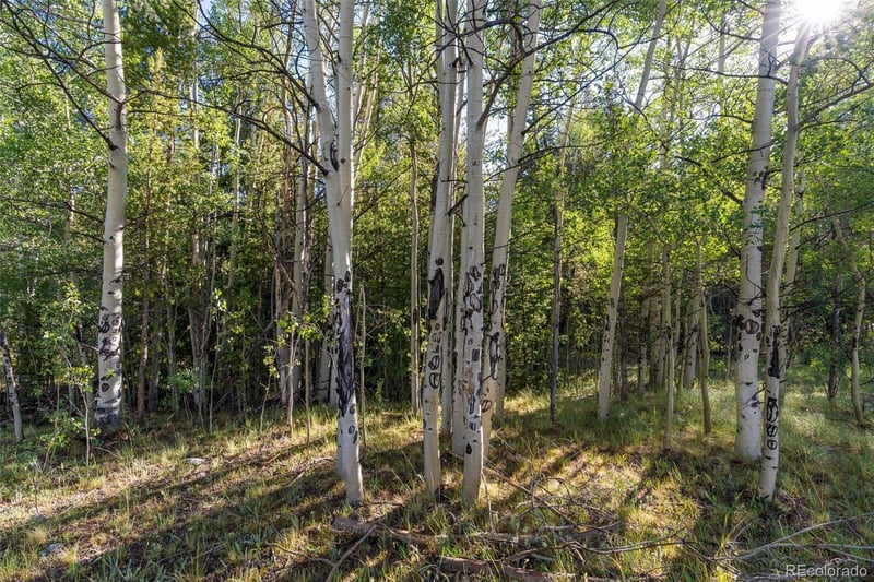 Lot 1 Snow Cap Peaks Rd, Alma, CO 80440
