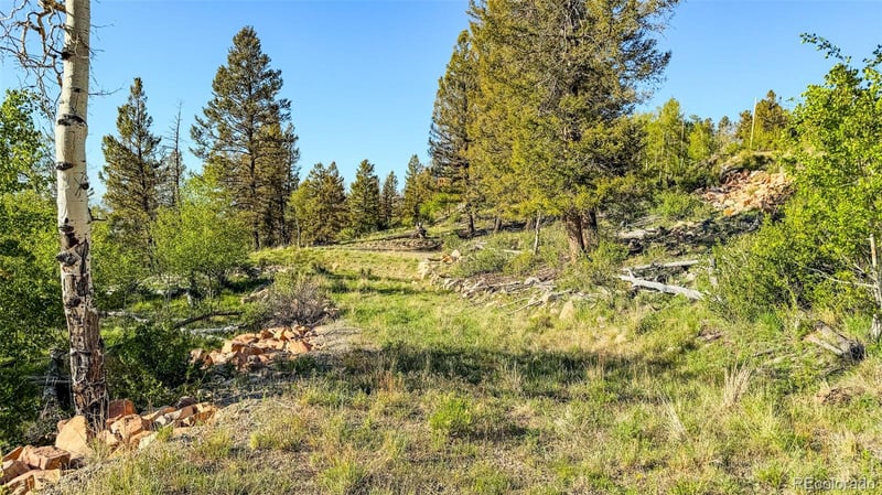 4924 Middle Fork Vi, Fairplay, CO 80440