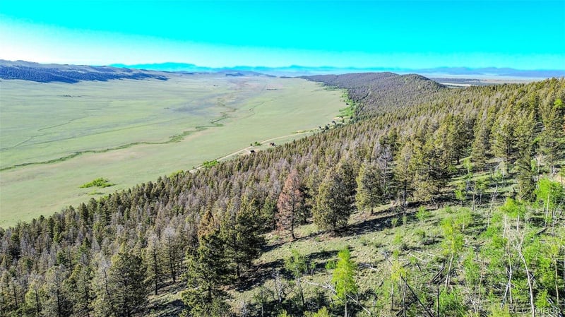 4924 Middle Fork Vi, Fairplay, CO 80440