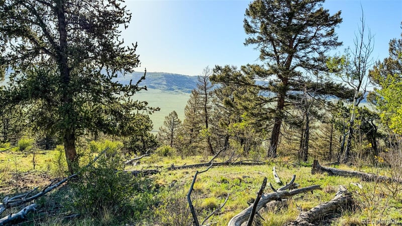 4924 Middle Fork Vi, Fairplay, CO 80440