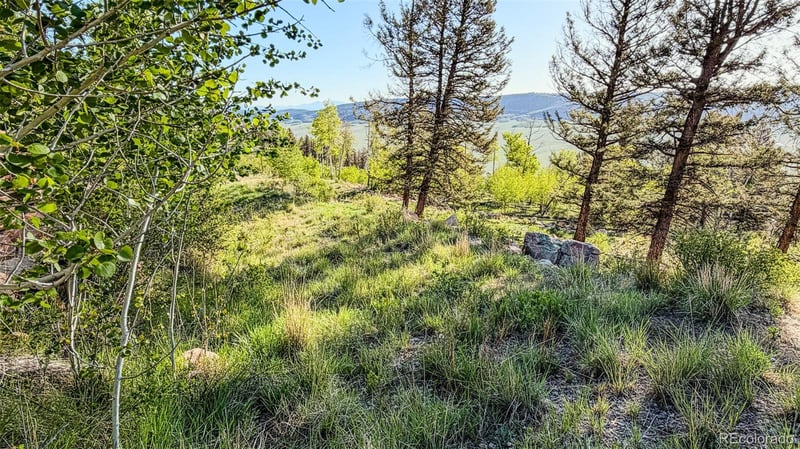 4924 Middle Fork Vi, Fairplay, CO 80440