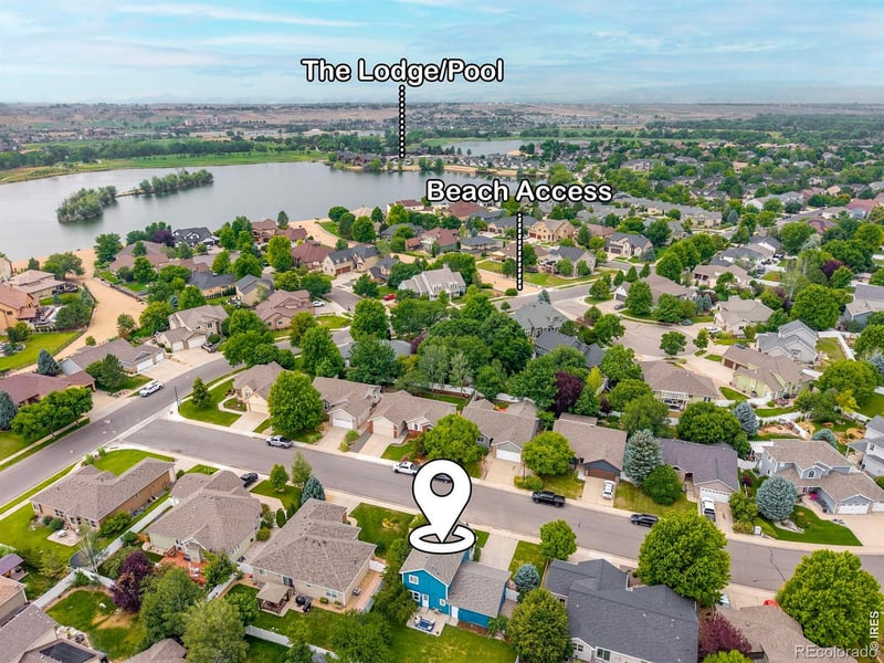 312 Rock Bridge Dr, Windsor, CO 80550