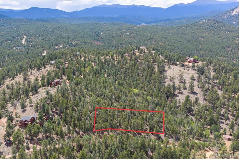 12397 S Cindy Ave, Pine, CO 80470