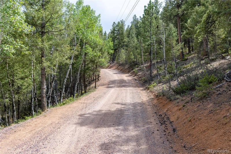 12397 S Cindy Ave, Pine, CO 80470