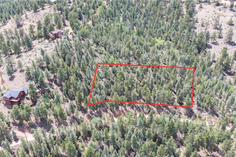 12397 S Cindy Ave, Pine, CO 80470