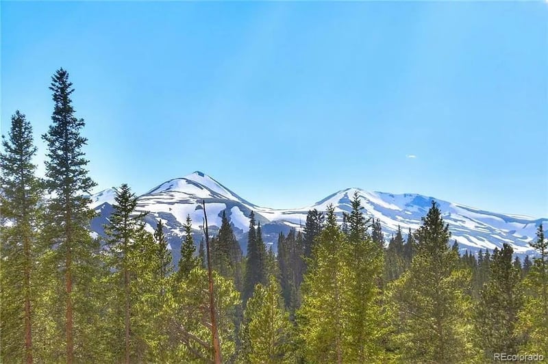 103 Cr 529 Lot 14, Breckenridge, CO 80424