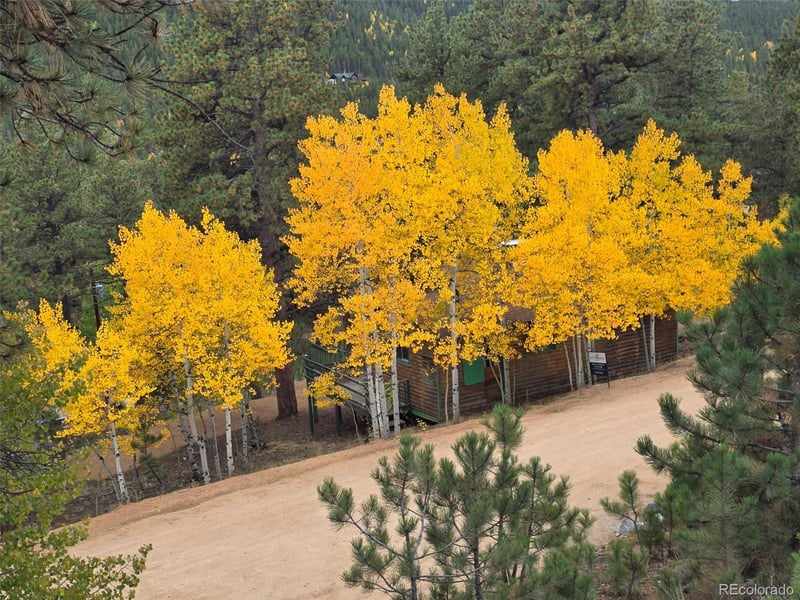 132 Jones Rd, Bailey, CO 80421