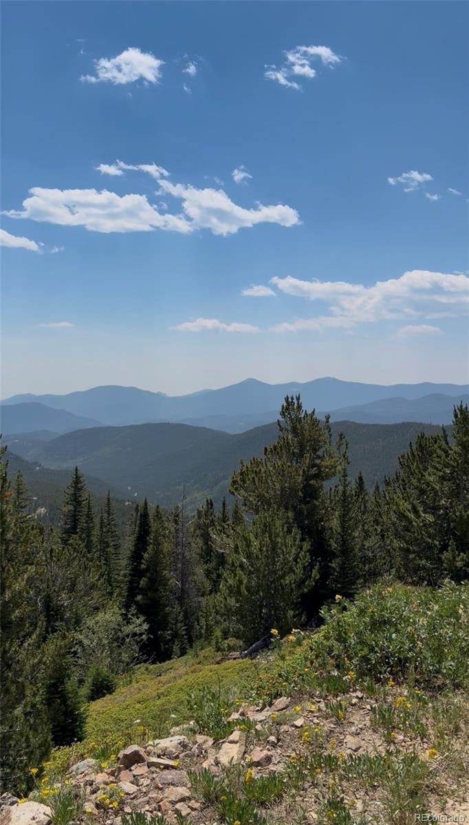 1 Nebraska Cir, Idaho Springs, CO 80452