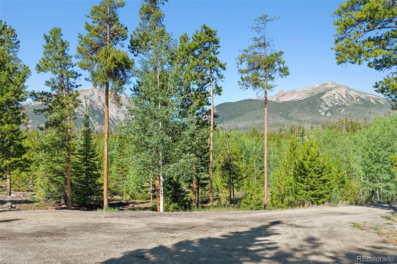 1165 Emerald Rd, Silverthorne, CO 80498