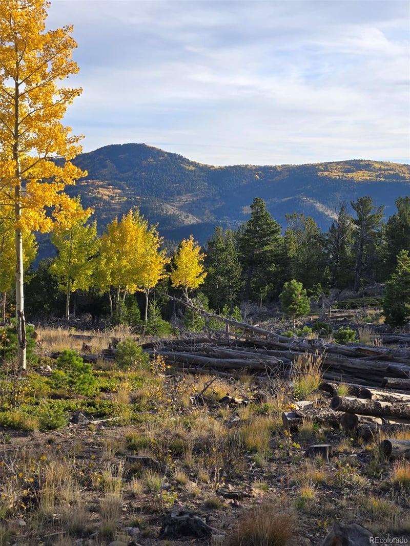 000 Frank C, Idaho Springs, CO 80452