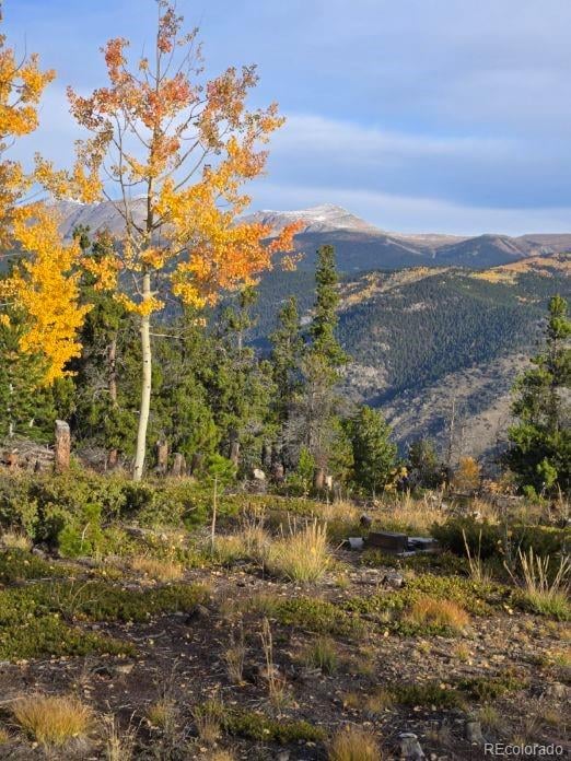 000 Frank C, Idaho Springs, CO 80452
